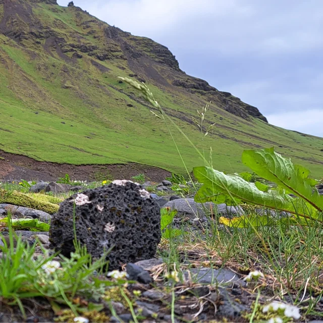 Bijzondere vulkanische rots met witte stippen licht aan de voet van een grote berg in IJsland