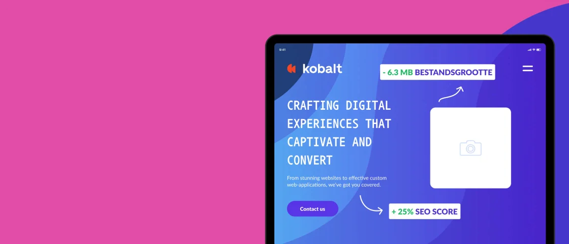 Voorbeeld van een performance scan gedaan op de Kobalt website